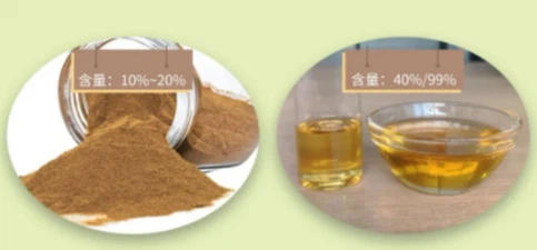 Hydroxytyrosol Olive Extract Hydroxytyrosol Olive Extract