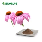 Echinacea Extract Powder
